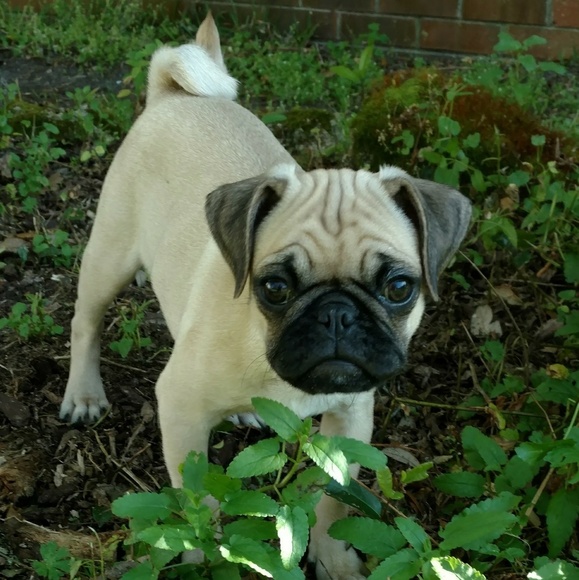 Meet your Posher, Karen - Picture 1 of 1